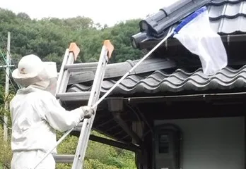 神戸市のスズメバチ駆除の事例