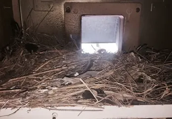 高槻市ダニ駆除と鳥の巣撤去の事例