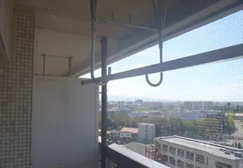 尼崎市の鳩糞清掃と防鳩ネット施工の事例