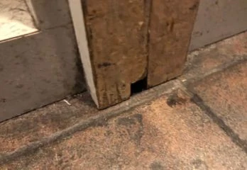 尼崎市のネズミ駆除の事例