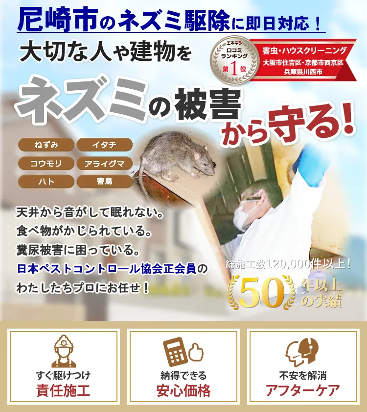 尼崎市のネズミの被害や駆除ならトータルクリーン