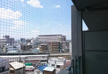神戸市兵庫区のハト駆除のケース