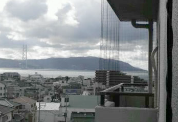 神戸市垂水区ハト駆除のケース
