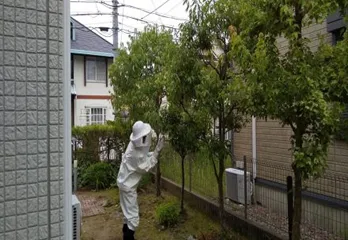 神戸東灘区のスズメバチ対策・駆除の事例