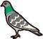 鳩のロゴ
