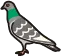 鳩のロゴ