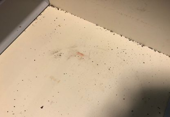 京都市下京区ゴキブリ駆除の事例