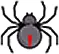 セアカゴケグモのロゴ