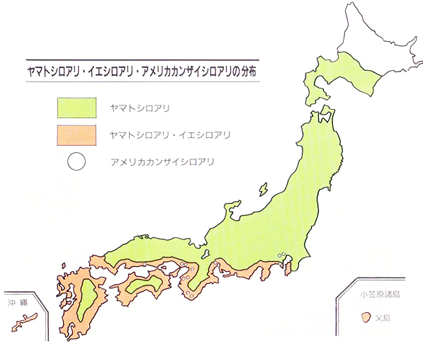 シロアリの全国分布図