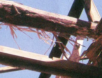 シロアリによる小屋根の被害