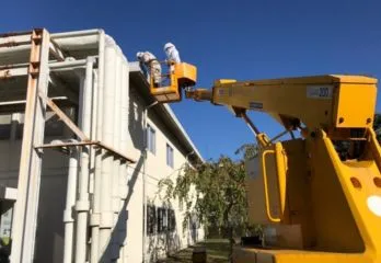 福知山市のスズメバチ駆除のケース