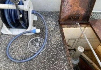 店舗内ゴキブリニ