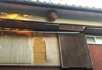 京都市南区の保養所スズメバチ対策・駆除の事例