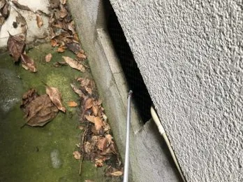 京都市中央区のゴキブリ駆除のケース