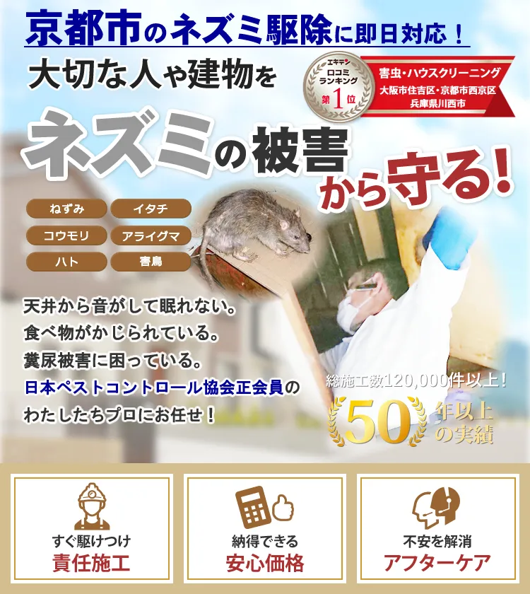 京都市のネズミの被害や駆除ならトータルクリーン