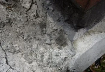 京都市右京区アリ駆除の事例