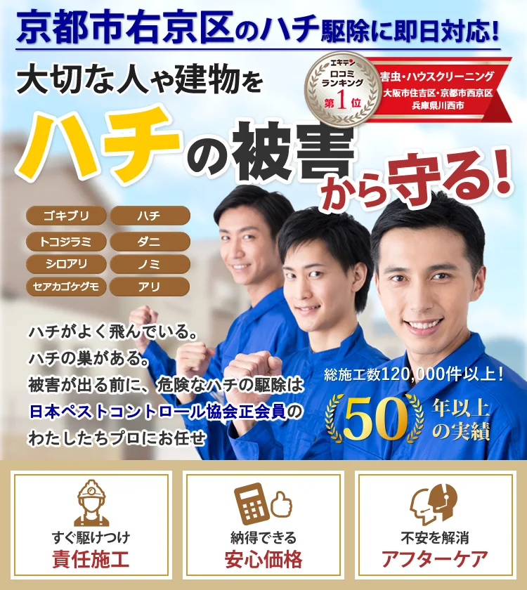 京都市右京区のハチの巣駆除ならトータルクリーン