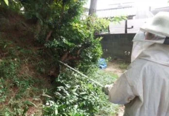 京都市山科区ゴキブリ駆除の事例