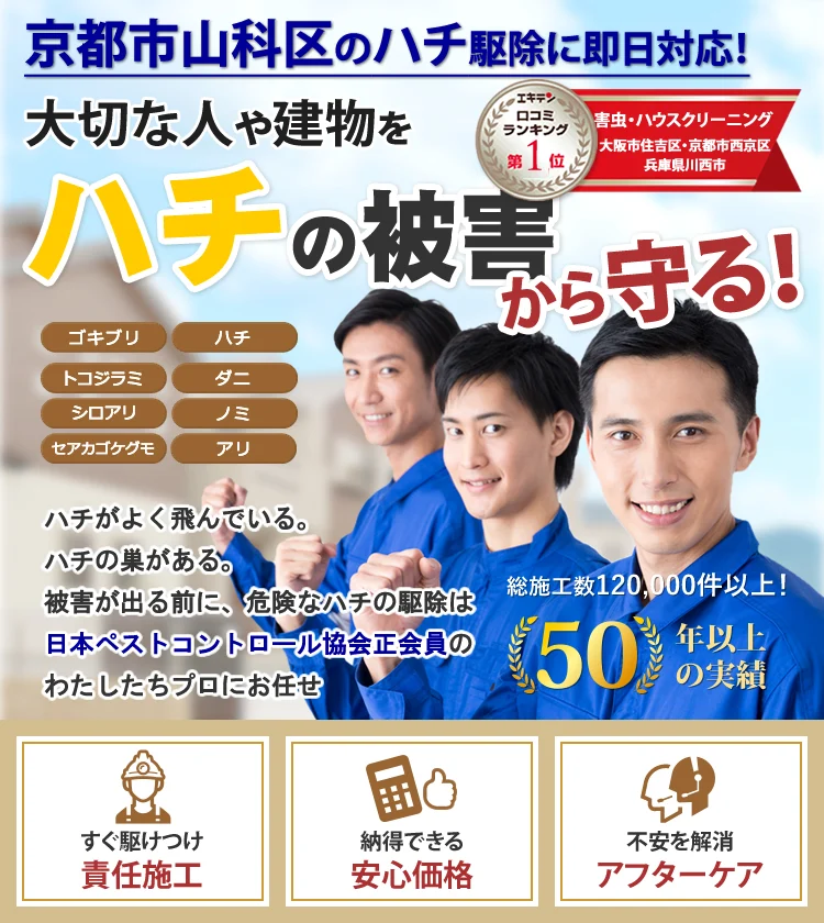 京都市山科区のハチの巣駆除ならトータルクリーン