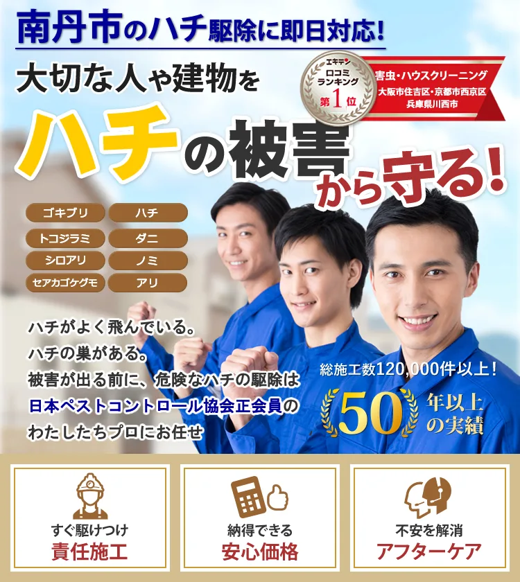 南丹市のハチの巣被害ならトータルクリーン