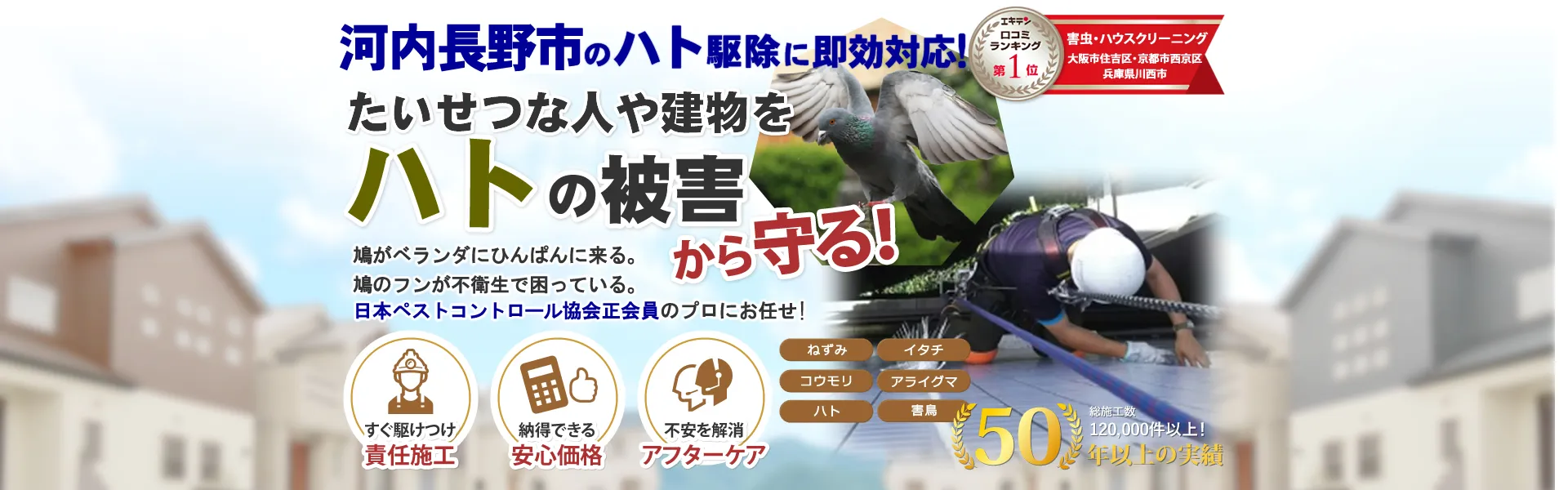 河内長野市のハト被害ならトータルクリーン