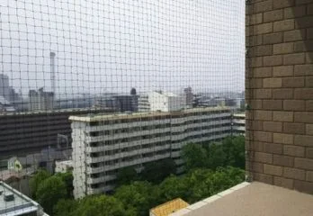 大阪市福島区のハト駆除の事例