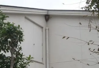 大阪市東淀川区のスズメバチ駆除の事例