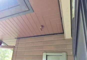 大阪市区東淀川区のスズメバチ駆除のケース