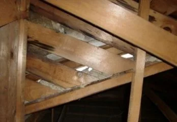 大阪市城東区のネズミ駆除の事例