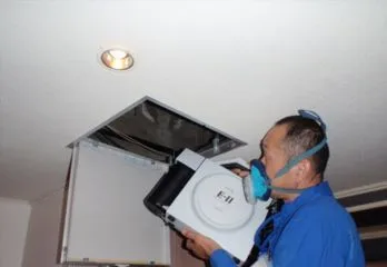 大阪市北区のノミ駆除の事例