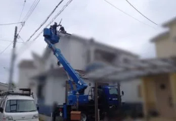 大阪市西区のムクドリ駆除のケース