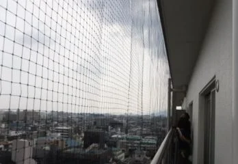 堺市北区のハト駆除の事例
