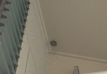 島本町スズメバチ駆除のケース