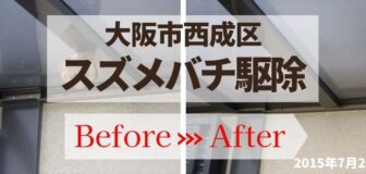 大阪市西成区・個人宅のスズメバチ駆除の事例　の駆除