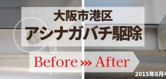 大阪市港区・個人宅のアシナガバチ駆除の事例　の駆除