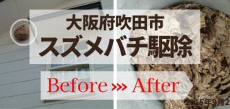 吹田市・個人宅のスズメバチ駆除の事例　の駆除