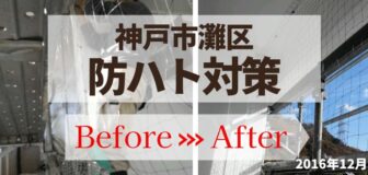 神戸市灘区・マンションの防鳩ネット施工の事例　の駆除