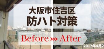 大阪市住吉区・マンション（個人宅）の防鳩ネット施工の事例の駆除
