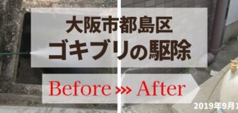 大阪市都島区・店舗のゴキブリ駆除の事例の駆除