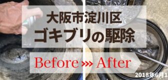 大阪市東淀川区・個人宅のゴキブリ定期防除の事例　の駆除