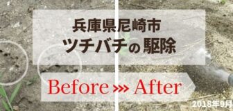 尼崎市・個人宅のツチバチ駆除の事例　の駆除