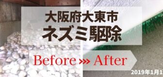 大阪府大東市・個人宅のネズミ駆除・侵入口封鎖工事の事例の駆除