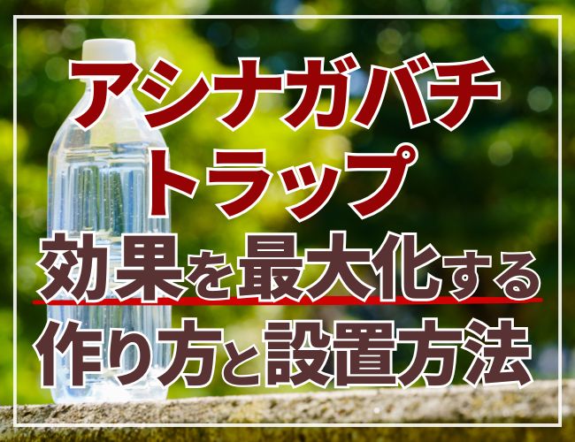 アシナガバチのトラップ