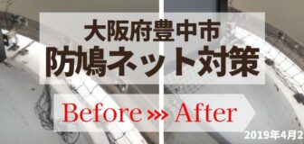 豊中市・マンション（個人宅）の防鳩ネット補修の事例　の駆除