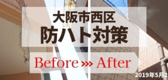 大阪市西区・アパートの防鳩ネット補修の事例　の駆除