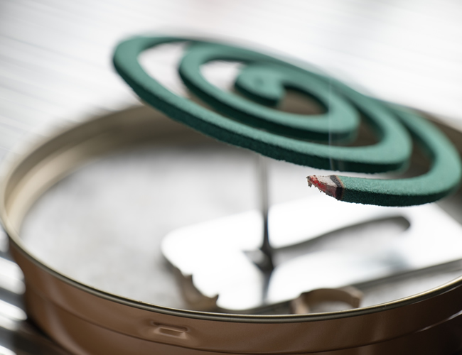 蜂の巣に蚊取り線香は効果があるのか ハチ駆除ならトータルクリーン