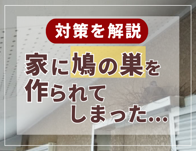 家に鳥の巣を作られてしまった