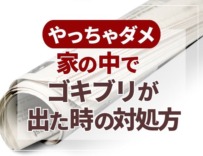 家の中でゴキブリが出た時の対処方