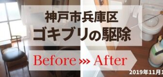 神戸市兵庫区・個人宅のゴキブリ駆除の事例の駆除