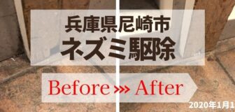 兵庫県尼崎市・事業所のネズミ駆除の事例の駆除